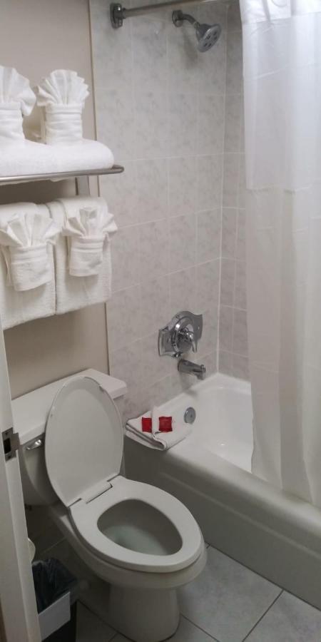 Surestay Plus Hotel By Best Western Clearwater Central 外观 照片