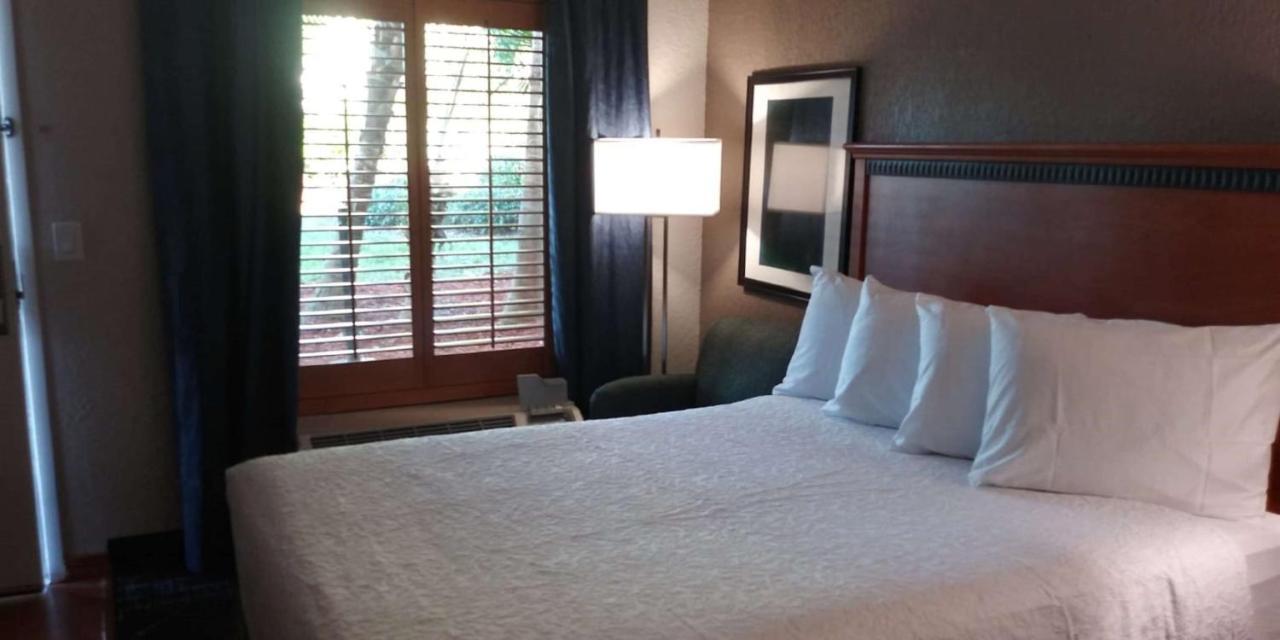 Surestay Plus Hotel By Best Western Clearwater Central 外观 照片