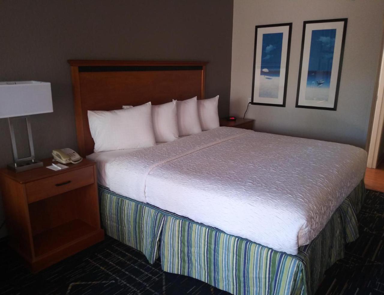 Surestay Plus Hotel By Best Western Clearwater Central 外观 照片